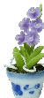 Dollhouse Plants Orchids