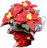 Dollhouse Plants Poinsettia